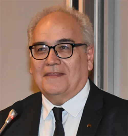 Καθηγητής Δημήτρης Εμμανουλούδης